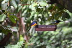 DSC_9191.JPG